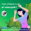 Как уберечься от клещей?